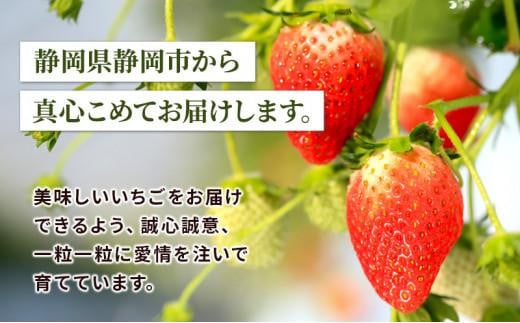 静岡県静岡市のふるさと納税 いちご ほっぺたが落ちる 紅ほっぺ  4パック 果物 イチゴ 苺 おやつ ギフト 贈答品 お祝い プレゼント 国産 フルーツ くだもの