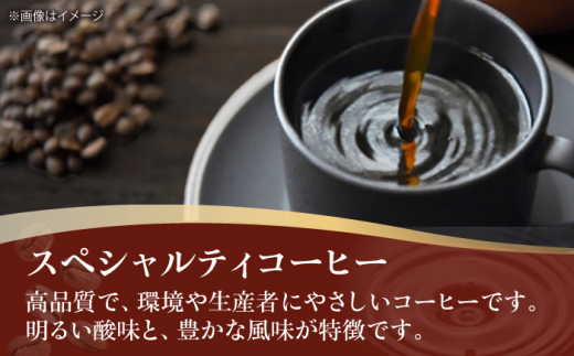 コーヒー豆  スペシャルティコーヒー おすすめ2種セット 各500g 