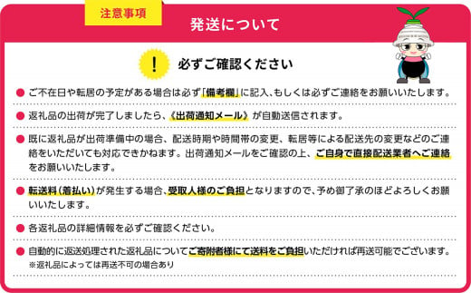 福岡県東峰村のふるさと納税 3CB1【復興支援】東峰村　博多華味鳥　水たきセット