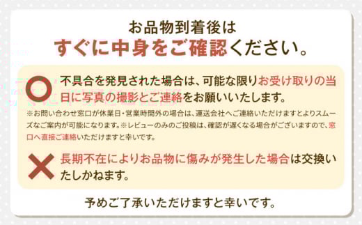 すずあかね 600gイチゴ いちご 苺 フルーツ 果物 季節限定 期間限定 発送