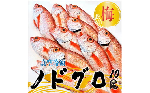 ノドグロ 10尾セット 1尾 約100g以上 新潟 日本海産 高級魚 アカムツ 新鮮 真空 急速冷凍 冷凍 魚介類 日本海 新潟産 国産 松竹梅【梅】 1519585 - 新潟県新発田市