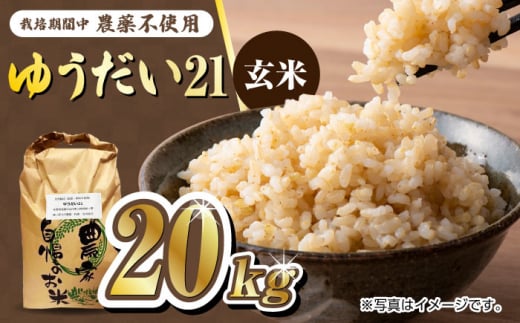 【お歳暮対象】栽培期間中農薬不使用 令和6年産 佐賀県産ゆうだい21 玄米20kg /鶴ノ原北川農園 [UDL026] 1514355 - 佐賀県武雄市