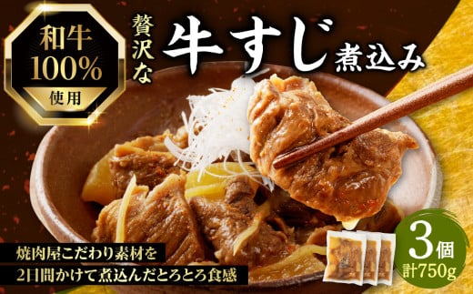 和牛100％の贅沢なすじ煮込み  250g×3個 750g  [093-11] 1436706 - 京都府木津川市