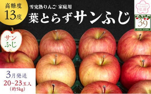 りんご 【 数量限定 】3月発送 雪完熟 自然 葉とらず 糖度13度以上 家庭用 サンふじ 約 5kg 20～23個【 弘前市産 青森りんご 】 1515561 - 青森県弘前市