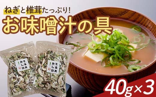 天栄村名産のねぎと椎茸たっぷり！お味噌汁の具 40g×3パック F21T-323 1554033 - 福島県天栄村