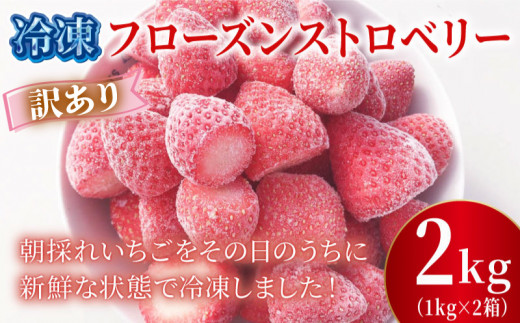 訳あり 冷凍 いちご 2kg フローズン ストロベリー 産地直送 ご当地 苺 果物 くだもの フルーツ デザート ふるさと納税3.0 よつぼし 紅ほっぺ かおり野 恋みのり おいCベリー 食品 げんき農場 埼玉県 羽生市 1449555 - 埼玉県羽生市