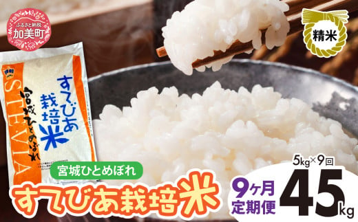 【9回定期便】新米 精米 令和6年度産 すてびあ栽培米 宮城県産 ひとめぼれ 45kg (5kg×9回) [菅原精米工業 宮城県 加美町 ]  |  sw00001-r6-5kg-9 1515740 - 宮城県加美町