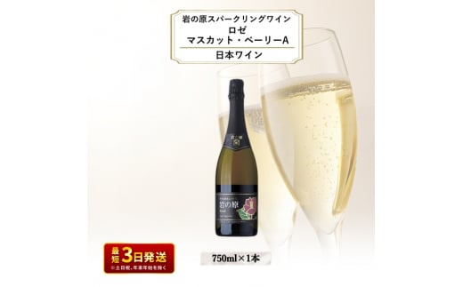 ワイン 岩の原スパークリングワイン ロゼ1本 マスカット・ベーリーA （750ml） 酒 ギフト 新潟 上越 1000733 - 新潟県上越市