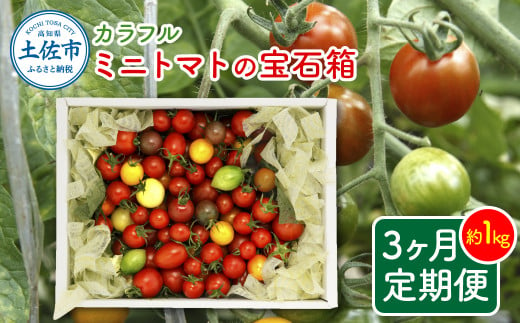 カラフルミニトマトの宝石箱 約1キロ 定期便3ヶ月 約1kg トマト とまと 詰め合わせ セット 15品種以上 野菜 料理 サラダ マリネ パスタ 浅漬け おやつ 弁当 甘味 酸味 新鮮 おいしい