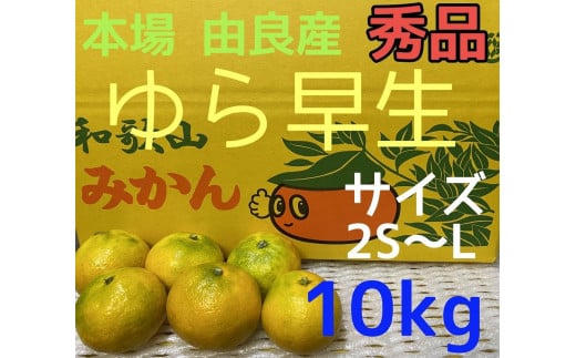 【秀品】ゆら早生 10kg 2S~L 和歌山 由良産 1497468 - 和歌山県由良町