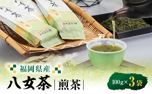 八女茶(福岡県産)煎茶 100g×3【1486506】 1504819 - 福岡県大牟田市