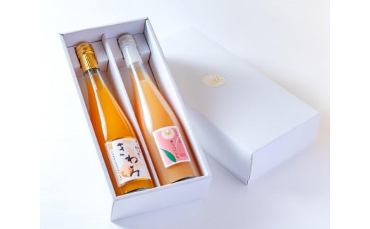 きわみ みかんジュース ／ あら川の桃 ドリンク 500ml 合計 2本 入り アソートセット【mao15】