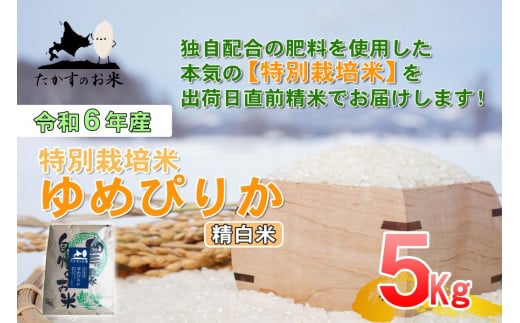 A217 　【 令和6年産 】 ゆめぴりか （ 精 白米 ） 特Aランク 北海道 米 を代表する人気の品種 5㎏ 北海道 鷹栖町 たかすのお米 米 コメ こめ ご飯 白米 お米 ゆめぴりか コメ 白米 1360300 - 北海道鷹栖町