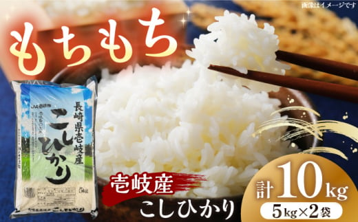 壱岐産 こしひかり 10kg 《壱岐市》【壱岐市農業協同組合】 米 お米 ご飯 お弁当 常温発送 [JBO145] 1514603 - 長崎県壱岐市