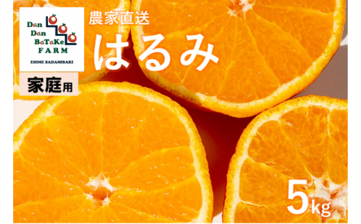 【先行予約】【家庭用】はるみ 約5kg | 柑橘 みかん 果物 フルーツ 愛媛県産 農家直送 　※離島への配送不可　※2025年2月上旬より順次発送予定 1514812 - 愛媛県伊方町