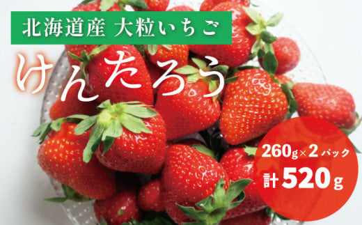 【先行予約】おがファームの道産子いちご 大粒「けんたろう」520g　YD068 1156004 - 北海道栗山町