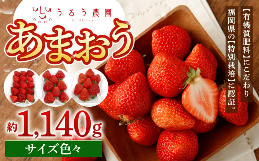 うるう農園 サイズ色々 あまおう 4パック（約1140g）【2025年1月下旬～2025年3月下旬順次発送予定】いちご イチゴ 苺 フルーツ 果物 福岡県産 1513977 - 福岡県北九州市