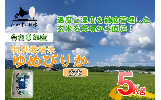 A219 　【 令和6年産 】 ゆめぴりか （ 玄米 ） 特Aランク 北海道 米 を代表する人気の品種 5㎏ 北海道 鷹栖町 たかすのお米 米 コメ こめ ご飯 玄米 お米 ゆめぴりか コメ 玄米 1360302 - 北海道鷹栖町