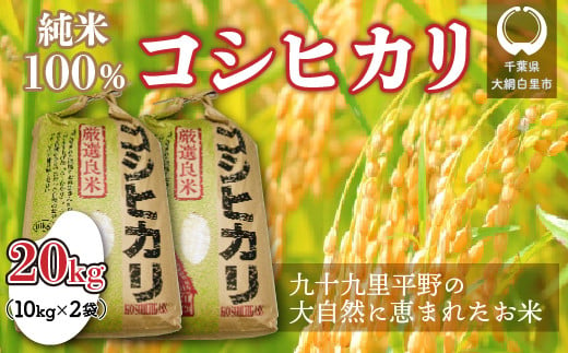 【令和6年産】千葉県 大網白里市産 コシヒカリ 20kg（10kg×2袋） お米 20kg 千葉県産 大網白里市 コシヒカリ 米 精米 こめ 送料無料 851997 - 千葉県大網白里市