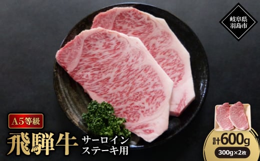 A5等級飛騨牛:サーロインステーキ用600g【1539460】