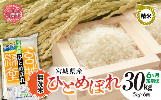 【6回定期便】新米 無洗米 令和6年度産 宮城 ひとめぼれ 30kg (5kg×6回) [菅原精米工業 宮城県 加美町 ]  ｜ sw00003-r6-5kg-6 1515710 - 宮城県加美町