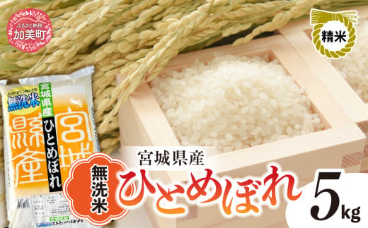 新米 無洗米 令和6年度産 宮城 ひとめぼれ 5kg  [菅原精米工業 宮城県 加美町 ]  | sw00003-r6-5kg 1515708 - 宮城県加美町