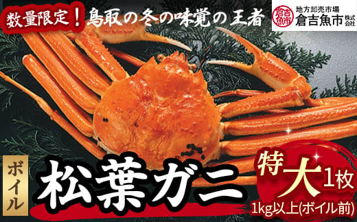 【倉吉魚市】ボイル松葉がに（特大）ボイル前 1kg以上  ボイル 松葉ガニ ズワイガニ カニ爪 冷蔵 数量 期間 限定 数量限定 カニ ずわいがに 国産 倉吉市 1514185 - 鳥取県倉吉市