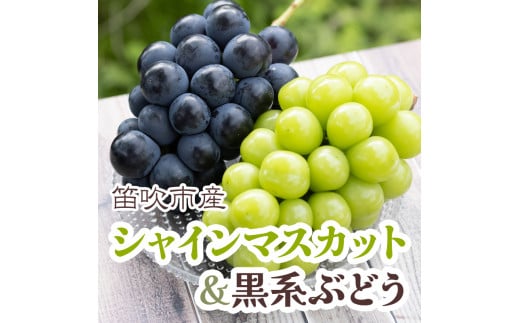 ＜25年発送先行予約＞シャインマスカット&黒系ぶどう 各1房(2房合計1kg程度) 　 229-003 1514520 - 山梨県笛吹市