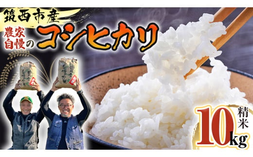 茨城県 筑西市産 コシヒカリ 精白米 10kg 令和6年産 新米 単一原料米 精米 米 お米 コメ 白米 こしひかり 茨城県 [AF103ci] -  茨城県筑西市｜ふるさとチョイス - ふるさと納税サイト