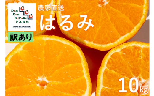 【先行予約】【訳あり】はるみ 約10kg | 柑橘 みかん 果物 フルーツ 愛媛県産 農家直送 　※離島への配送不可　※2025年2月上旬より順次発送予定 1514825 - 愛媛県伊方町