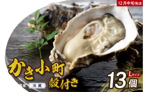 【2025年12月中旬発送】高田水産 殻付 かき小町 13個 (Lサイズ) ku010-006-12-2-25 2154593 - 広島県呉市