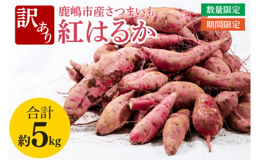 【訳あり】紅はるか約５kg【さつまいも サツマイモ 紅はるか 茨城県 鹿嶋市 10000円以下】（KAM-21） 1517174 - 茨城県鹿嶋市