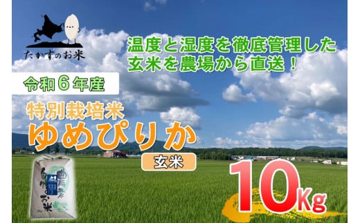 A222　【 令和6年産 】 ゆめぴりか （ 玄米 ） 特Aランク 北海道 米 を代表する人気の品種 10㎏ 北海道 鷹栖町 たかすのお米 米 コメ こめ ご飯 玄米 お米 ゆめぴりか コメ 玄米 1360305 - 北海道鷹栖町