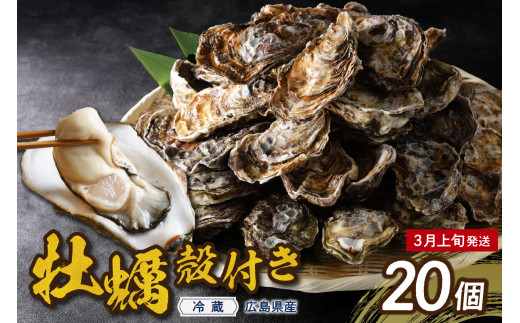 【2026年3月上旬発送】高田水産 殻付かき 20個 (Lサイズ)  ku010-002-03-1-25