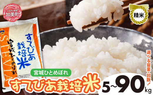 新米 精米 令和6年度産 すてびあ栽培米 宮城県産 ひとめぼれ 5kg 10kg 定期便 3回 〜 9回 [菅原精米工業 宮城県 加美町 ] | sw00001-02-r6