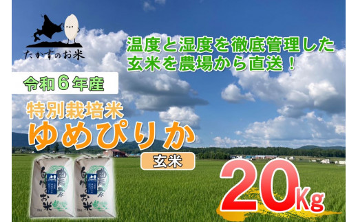 A225　【 令和6年産 】 ゆめぴりか （ 玄米 ） 特Aランク 北海道 米 を代表する人気の品種 10㎏×2袋 20㎏ 北海道 鷹栖町 たかすのお米 米 コメ こめ ご飯 玄米 お米 ゆめぴりか コメ 玄米 1360308 - 北海道鷹栖町