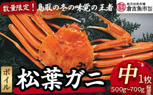 【倉吉魚市】ボイル松葉がに（中）  松葉ガニ カニ ズワイガニ カニ爪  冷蔵 かにしゃぶ カニ刺身 ずわいがに 鮮度抜群 国産 高級 ボイル 鳥取県 倉吉市 422402 - 鳥取県倉吉市