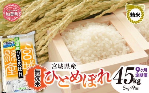 【9回定期便】新米 無洗米 令和6年度産 宮城 ひとめぼれ 45kg (5kg×9回) [菅原精米工業 宮城県 加美町 ]  ｜ sw00003-r6-5kg-9 1515712 - 宮城県加美町