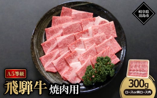 A5等級飛騨牛:焼肉用300g ロース又は肩ロース肉