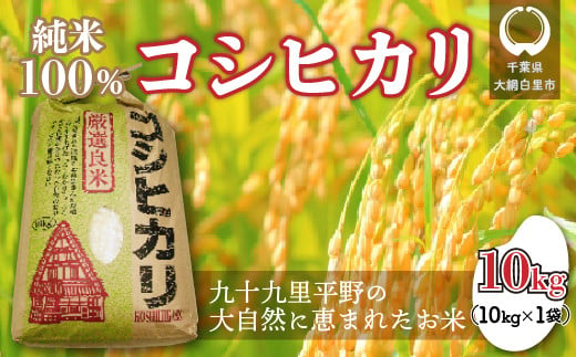 【令和6年産】千葉県 大網白里市産 コシヒカリ 10kg（10kg×1袋） お米 10kg 千葉県産 大網白里市 コシヒカリ 米 精米 こめ 送料無料 851995 - 千葉県大網白里市