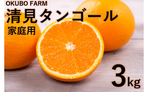 【家庭用】清見タンゴール 3kg ｜ 柑橘 みかん ミカン フルーツ 果物 愛媛　※北海道・沖縄・離島への配送不可　※2025年3月中旬頃に順次発送予定 1513786 - 愛媛県伊方町