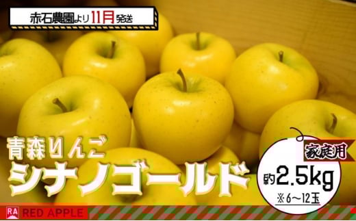 りんご 【 11月発送 】 家庭用 シナノゴールド 約 2.5kg 【 弘前市産 青森りんご 】  果物 フルーツ 食後 デザート 果汁たっぷり ジューシー 旬の果物 1515562 - 青森県弘前市