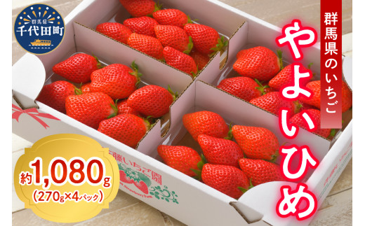 《先行予約》2026年2月発送※ いちご「 やよいひめ 」約270g×4パック 群馬県 千代田町 大粒 完熟収穫 大容量 とれたて 新鮮 送料 無料 数量 限定 甘い 豊かな 香り 贅沢 ご褒美 イチゴ ストロベリー 贈答 贈り物 ギフト プレゼント 家族 で 楽しむ フルーツ
