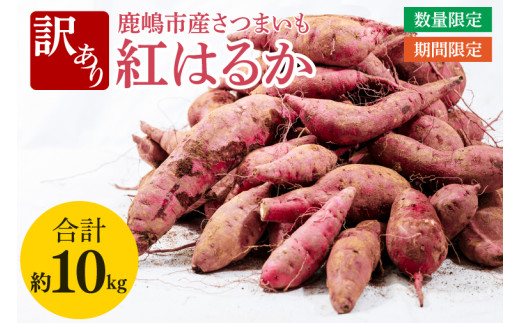 【訳あり】紅はるか約10kg【さつまいも サツマイモ 紅はるか 茨城県 鹿嶋市 10000円以下】（KAM-20） 1517175 - 茨城県鹿嶋市