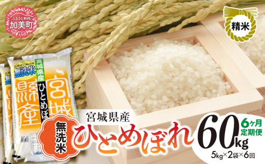 【6回定期便】新米 無洗米 令和6年度産 宮城 ひとめぼれ 60kg (10kg×6回)  [菅原精米工業 宮城県 加美町 ] ｜ sw00004-r6-10kg-6 1515745 - 宮城県加美町