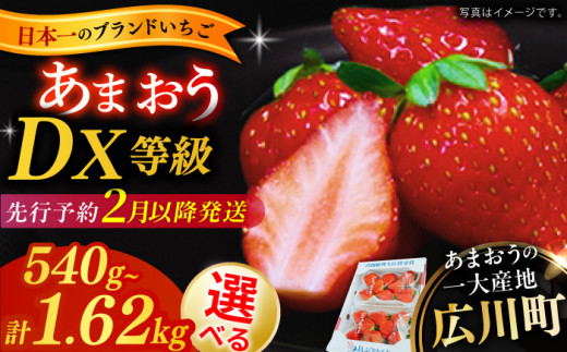 [2025年2月上旬より発送][選べる容量]あまおうDX等級 約540g〜約1.6kg いちご イチゴ 苺 フルーツ 果物 旬 福岡県産 小分け あまおう 博多 大きい 甘い 広川町 / JAふくおか八女農産物直売所どろや [AFAB004,072,073]