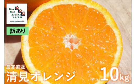 【先行予約】【訳あり】清見オレンジ 約10kg | 柑橘 みかん 果物 フルーツ 愛媛県産 農家直送　※離島への配送不可　※2025年3月中旬より順次発送予定 1514873 - 愛媛県伊方町