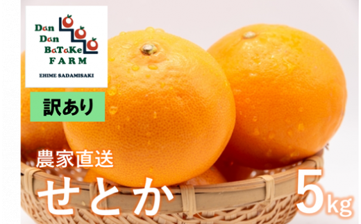 【先行予約】【訳あり】せとか 約5kg | 柑橘 みかん 果物 フルーツ 愛媛県産 農家直送 　※離島への配送不可　※2025年3月上旬より順次発送予定 1514842 - 愛媛県伊方町