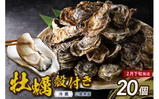 【2026年2月下旬発送】高田水産 殻付かき 20個 (Lサイズ)   ku010-002-02-3-25