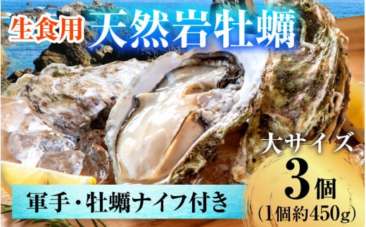 【先行予約】【加福鮮魚】若狭湾　生食用　天然岩牡蠣　大3個（軍手、牡蠣ナイフ付き）【2025年6月下旬より順次発送】